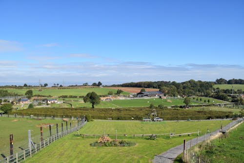 Gratis stockfoto met akkerland, blauwe lucht, boerderij