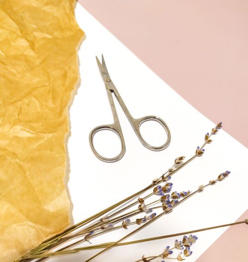 Free A minimalist composition featuring dried lavender, scissors, and paper, perfect for creative projects. Stock Photo