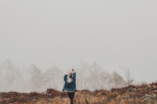 Základová fotografie zdarma na téma denní světlo, holka, krajina