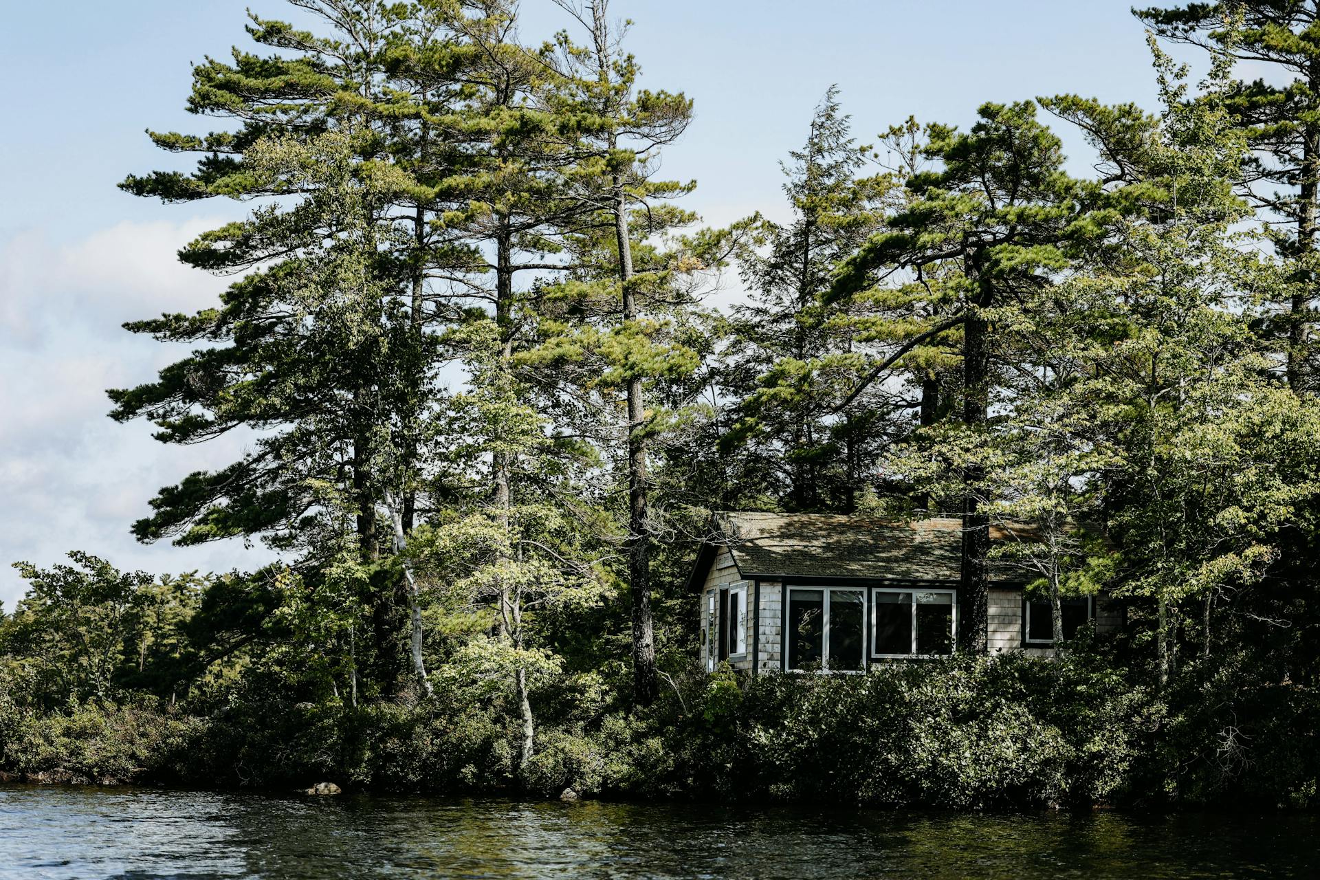 A House With a Lot of Trees Beside a Body of Water