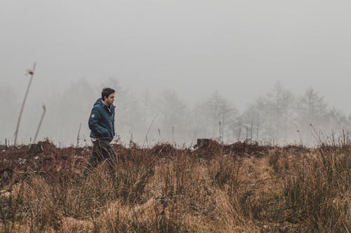 Gratis arkivbilde med åker, alene, dagslys