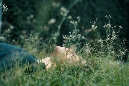 Free A Bearded man Lying on the Grass Stock Photo