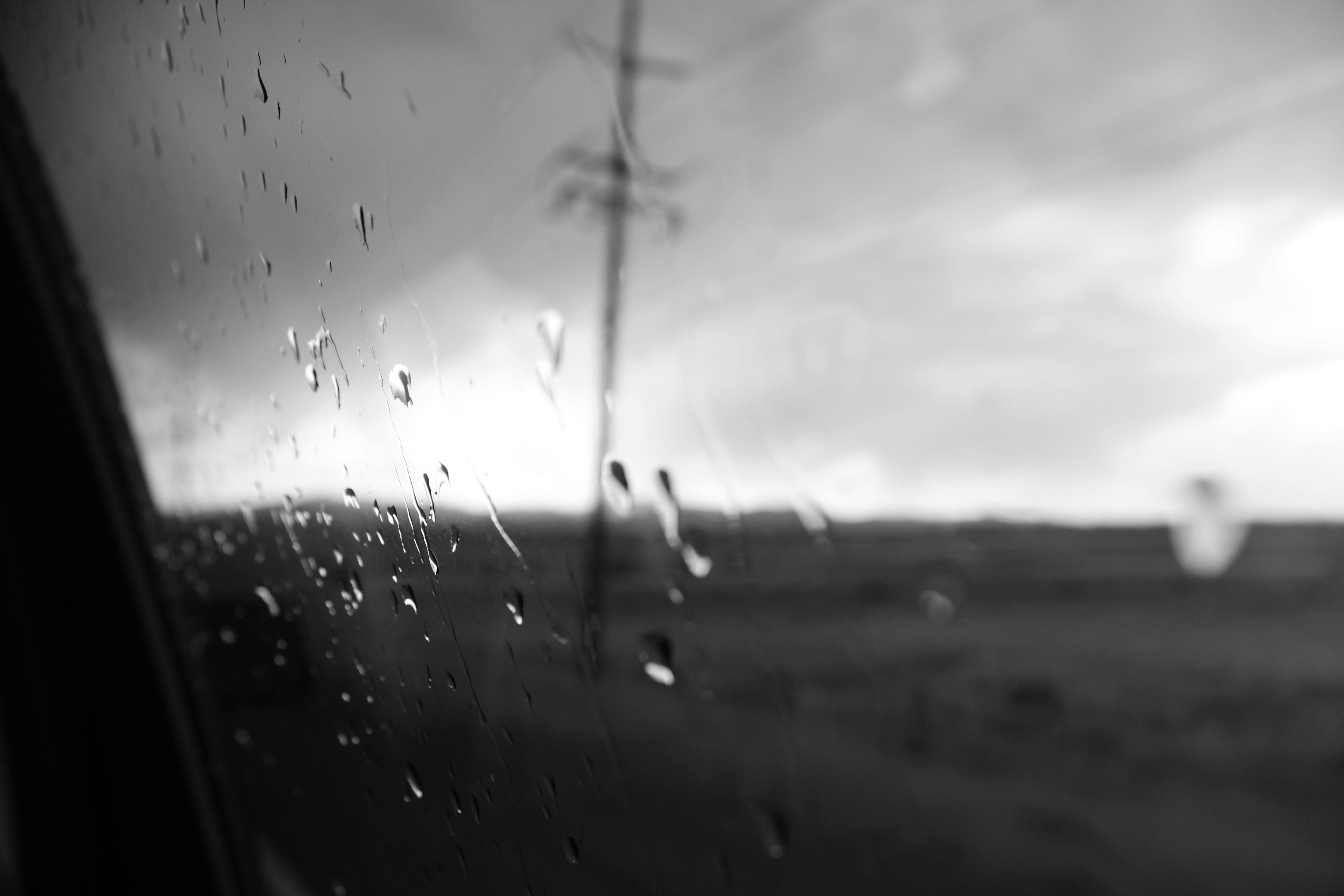 Free stock photo of black and white, depression, glass