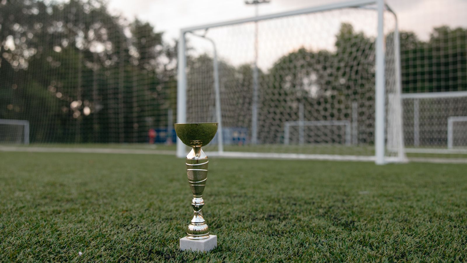 A golden trophy placed on green grass near a soccer goal, symbolizing victory.