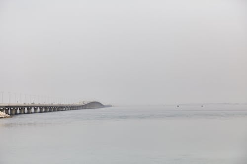 Kostnadsfri bild av bro, dagsljus, dimma