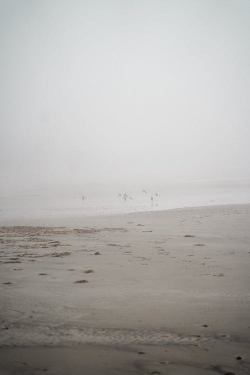 Footprints on the Beach Sand