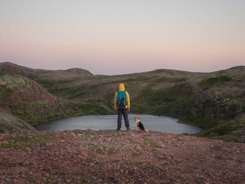 Free A Person with His Dog on a Hiking Adventure Stock Photo