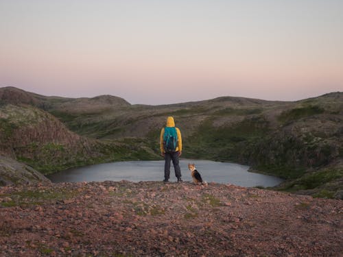 Gratis lagerfoto af Backpacker, backside, bakker