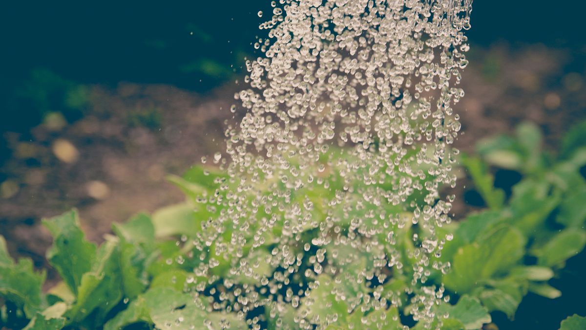 Comment choisir un système de récupération deau de pluie en 2026
