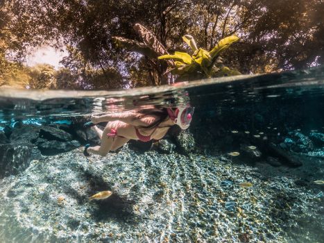 A woman snorkeling in the vibrant waters of Brazil surrounded by tropical scenery.