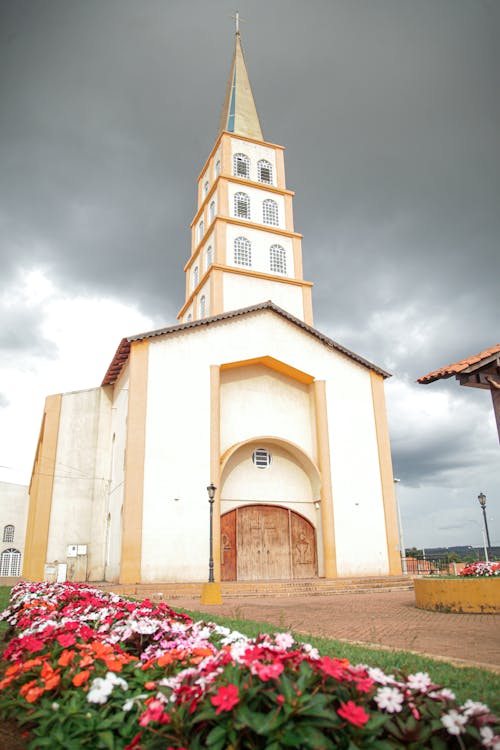 Free stock photo of 2020 wallpaper, basilica, brasil