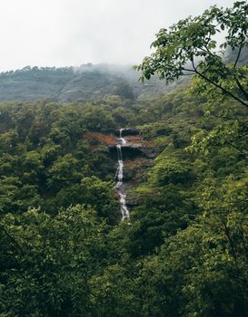 A serene waterfall cascades through a lush, misty forest, creating a picturesque nature scene.