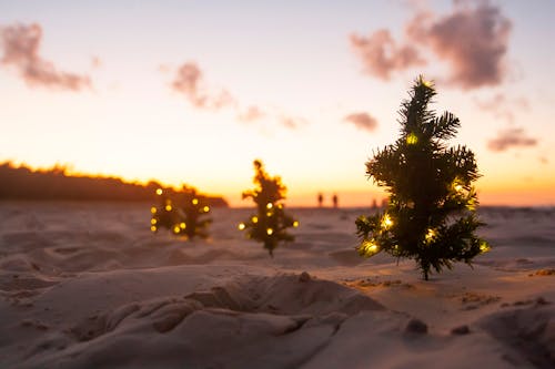 Gratis lagerfoto af hav, jul, juledekoration Lagerfoto