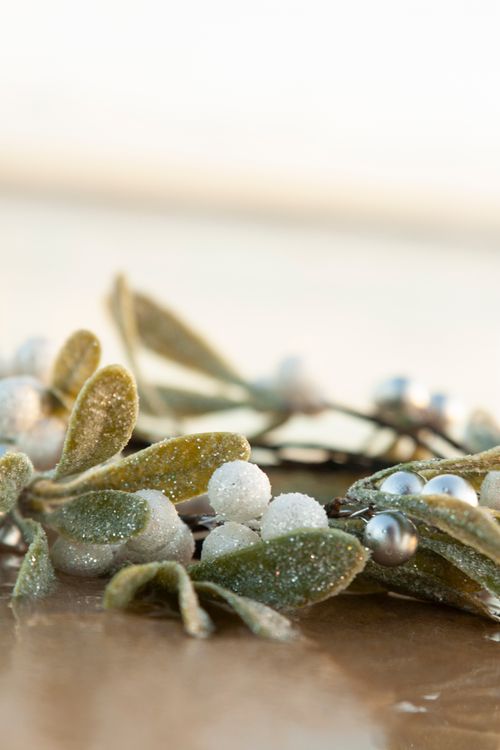 Free Detailed close-up of frosted mistletoe with pearls, intricate and festive. Stock Photo