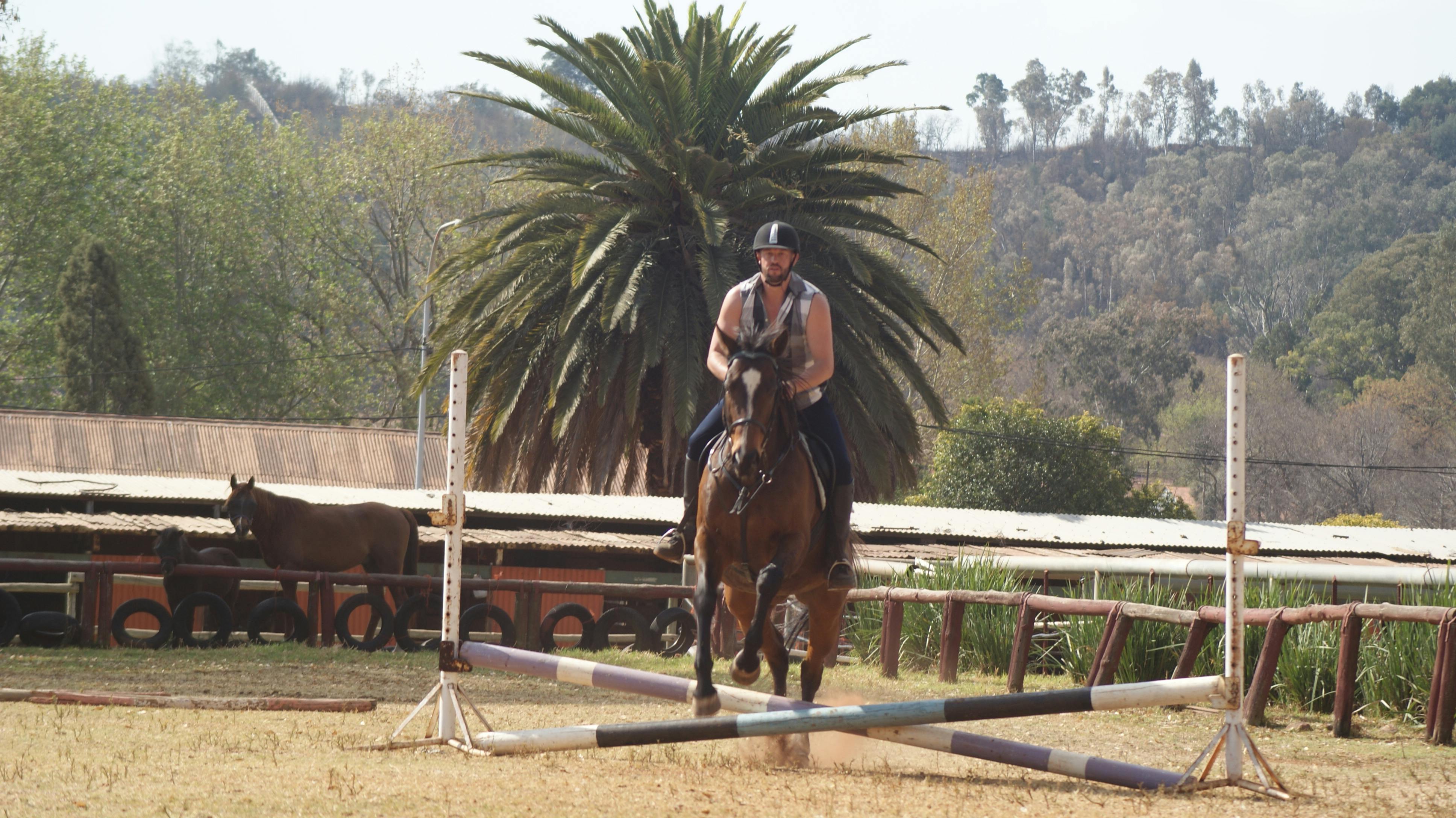 Free stock photo of Emanuel Pietersen, horse, horse rider