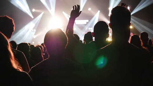 Silhouette Photo of People in Front of Stage