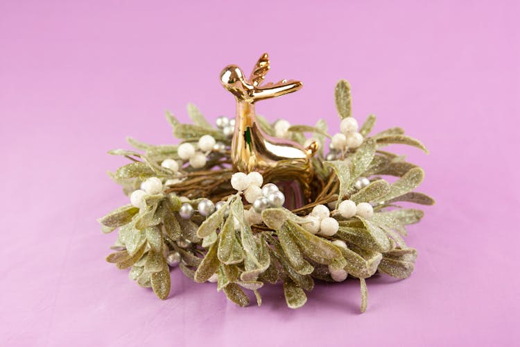 Decoration For Christmas With Boxwood