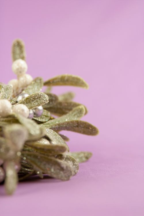 Free Close-up of decorative glitter mistletoe on a pink background. Stock Photo