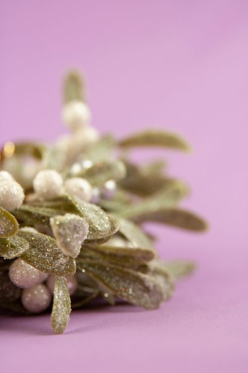 Free Close-up of a glittery mistletoe bunch on a purple background, perfect for holiday decor themes. Stock Photo