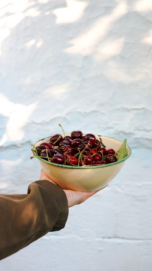 Person Holding Bowl of Red Cherries