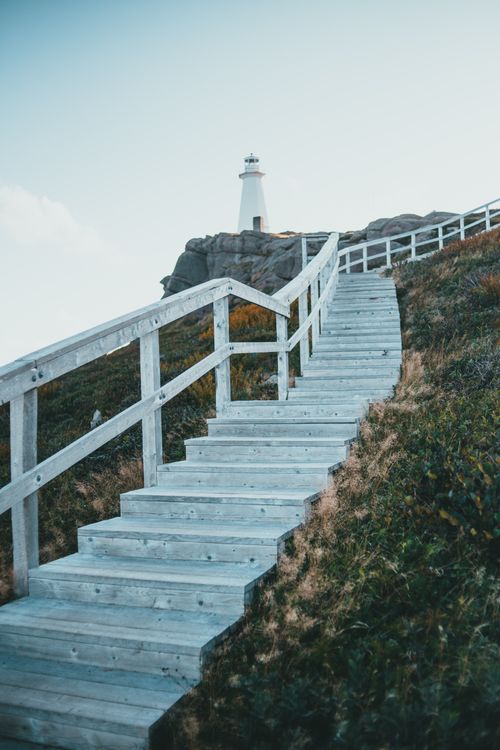 Free Wooden stairs lead to the Castle Point Lighthouse on a clear day, offering dramatic coastal views. Stock Photo