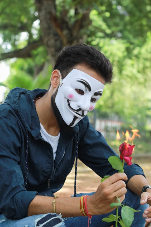 Man With Anonymous Mask Holding Red Rose 