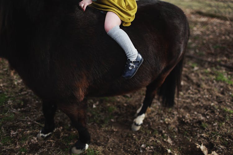 Crop Little Kid Riding Dark Brown Pony