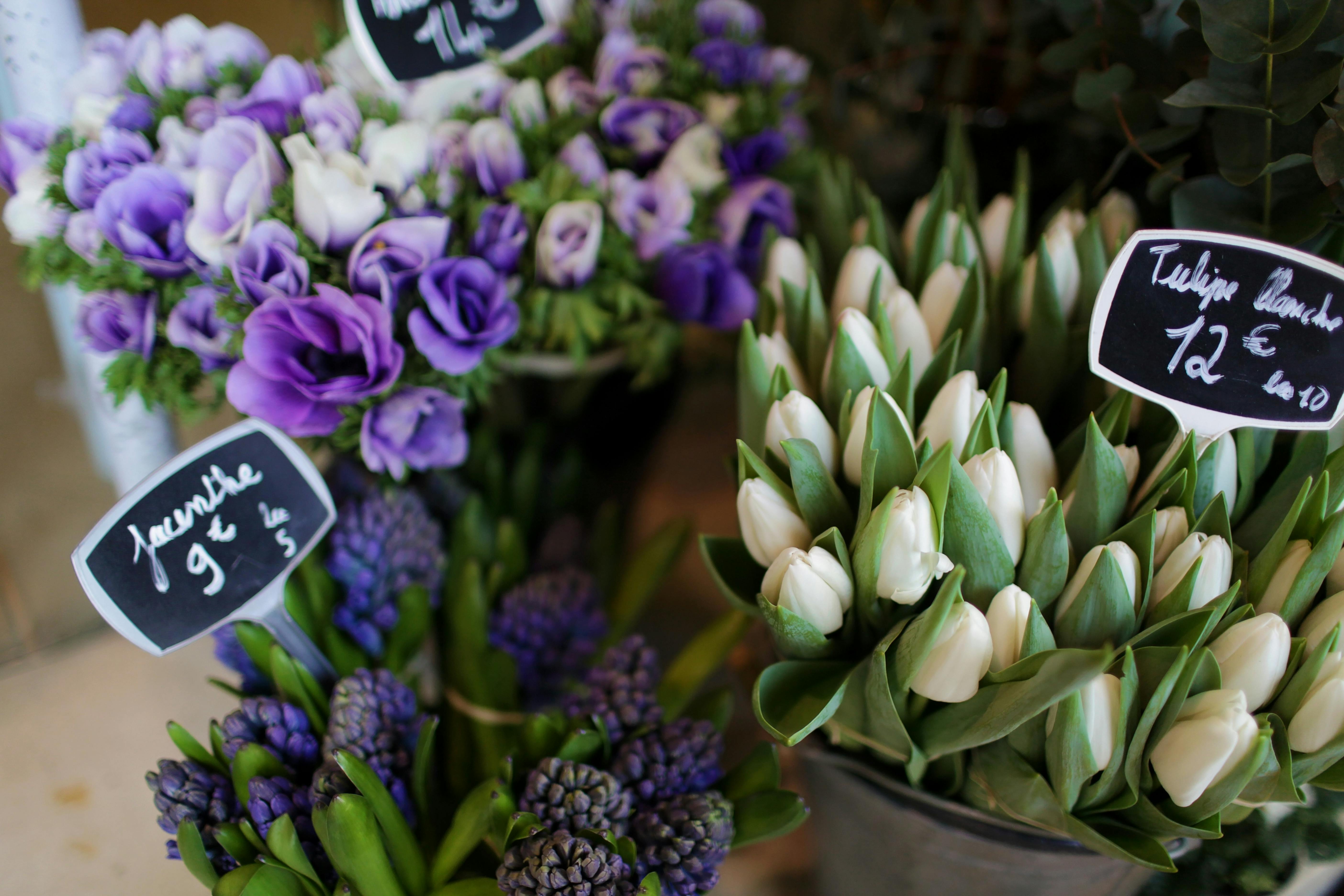 free-stock-photo-of-flower-seller-flower-vendor-flowers