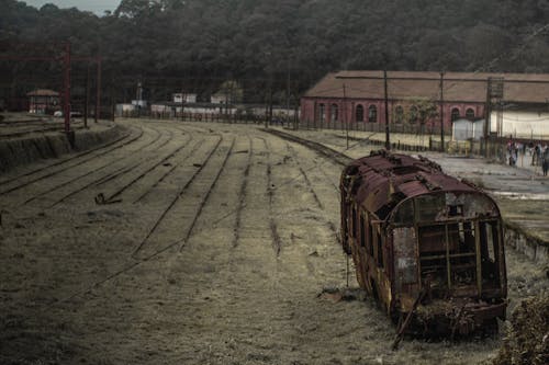 Kostenloses Stock Foto zu bahngleise, bäume, eisenbahn