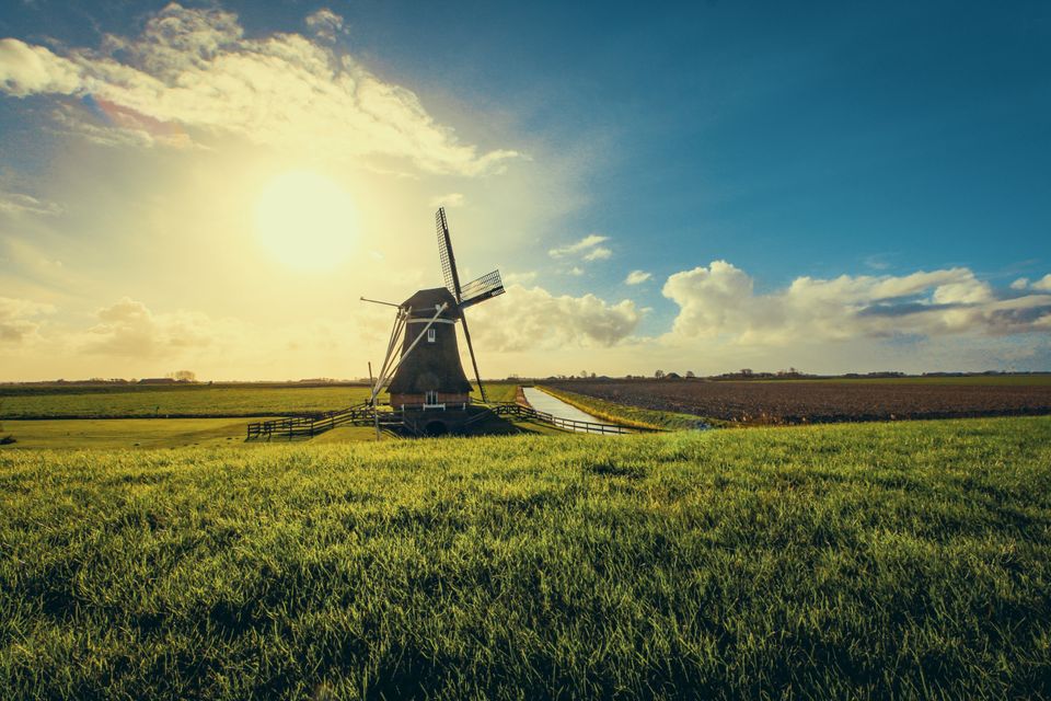 in Südholland
