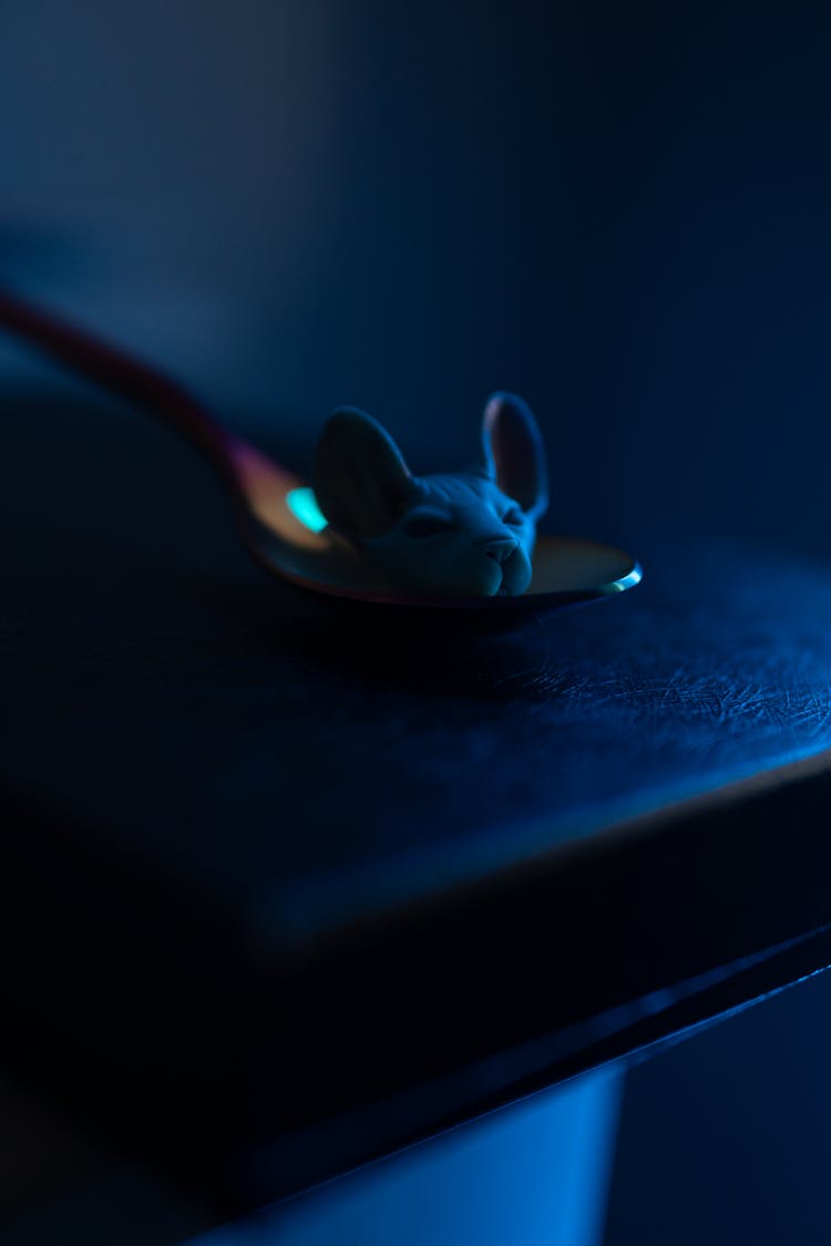 Mouse Head On Spoon