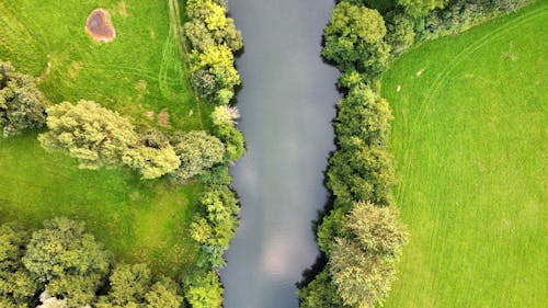 Fotobanka s bezplatnými fotkami na tému letecký záber, rieka, striešky stromov