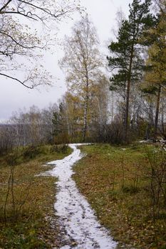 A tranquil snow-dusted path leads through a Siberian forest in early winter.