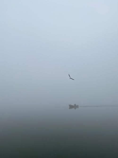 Fotos de stock gratuitas de al aire libre, con niebla, cuerpo de agua