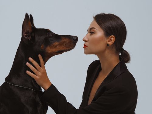 Free A stylish woman gazes at a Doberman in an intimate studio setting. Stock Photo