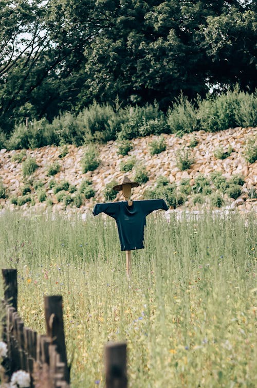 Free Scarecrow Dressed in Black in the Field Stock Photo