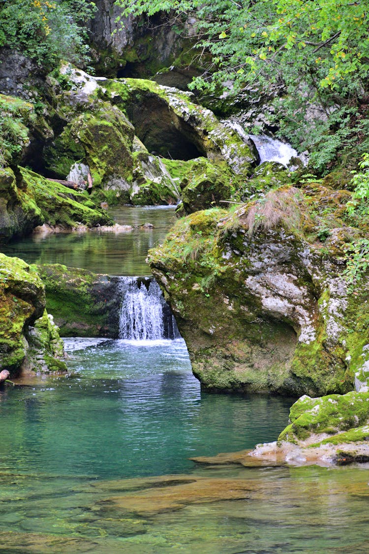 Moss On Rocks Around Waterfall On Stream