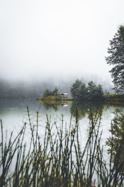 bezplatná Základová fotografie zdarma na téma jezero, krása, les Základová fotografie