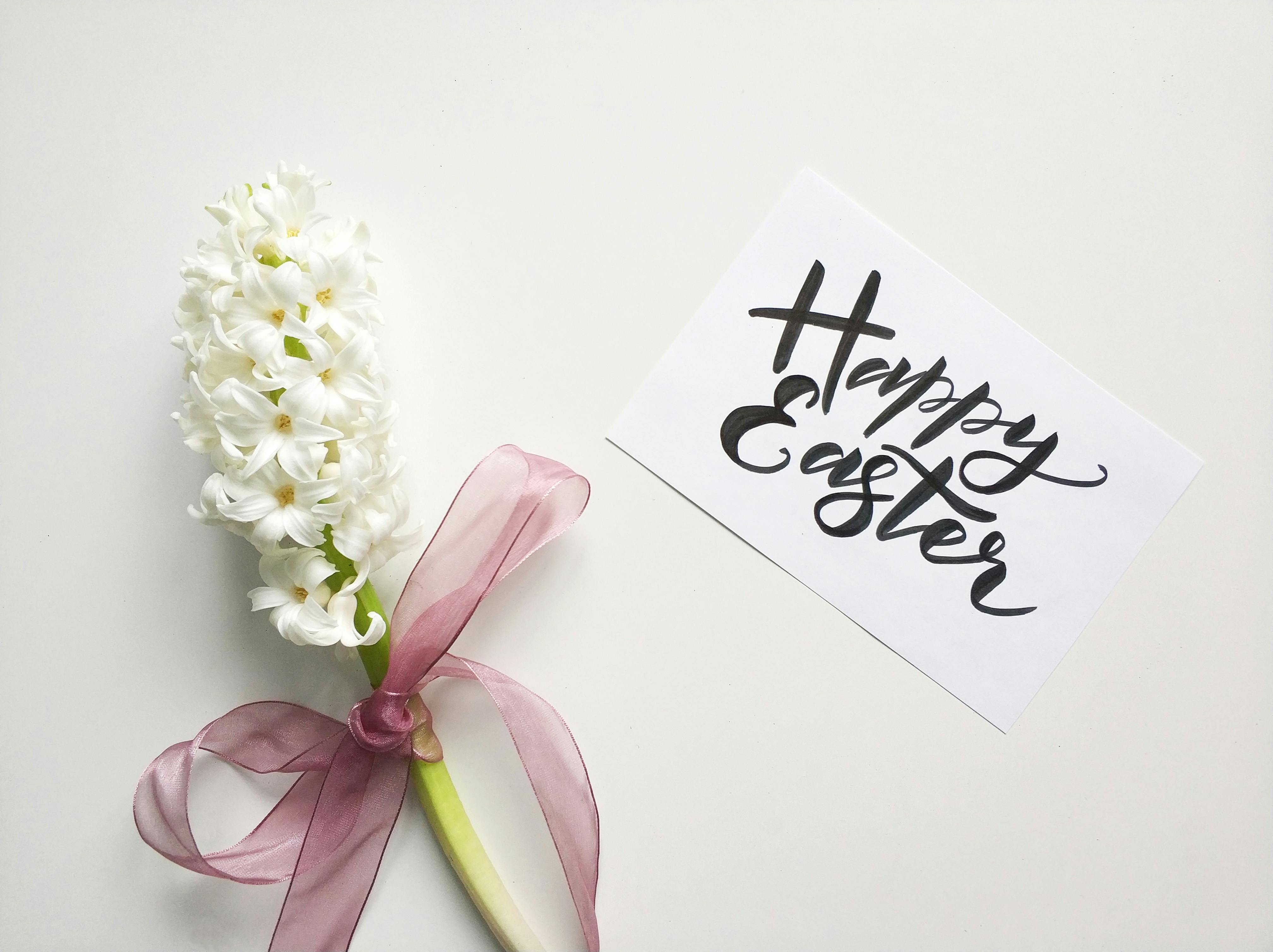 7,000+ Best Happy Easter Images · 100% Free Download · Pexels Stock Photos
