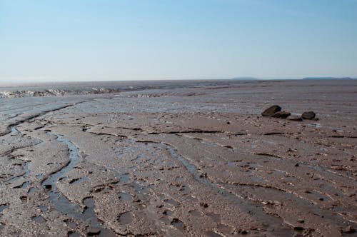 Free stock photo of low tide