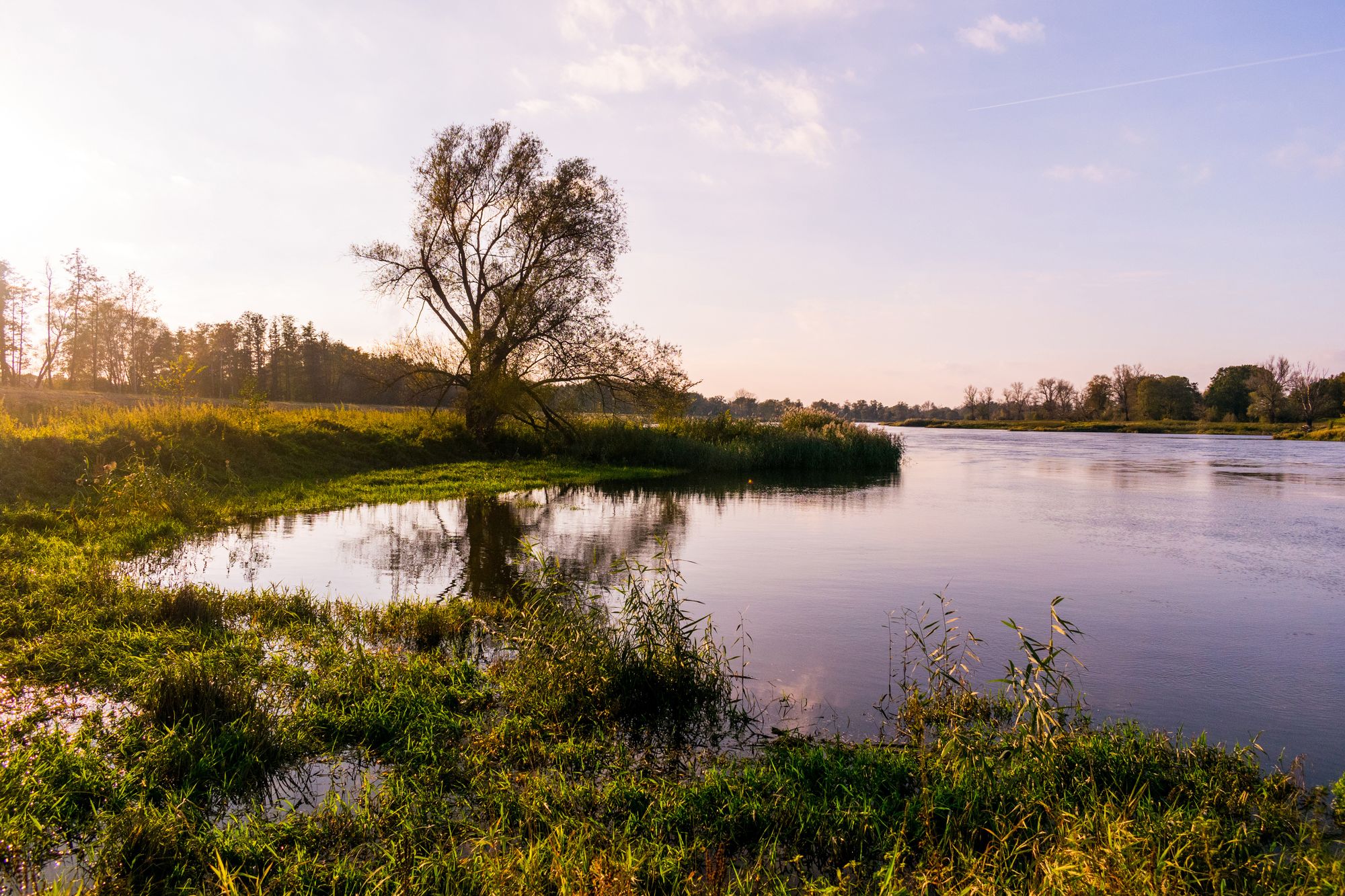 Tranquil river with green grass on the banks