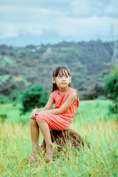 Girl in Pink Dress Sitting on a Rock