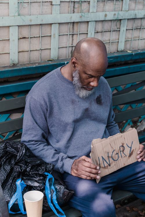 Free Elderly homeless man holds a "Hungry" sign while sitting on a bench outdoors. Stock Photo