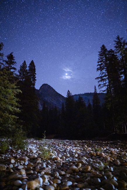 A serene view of the moonlit sky with stars shining over a mountainous forest.
