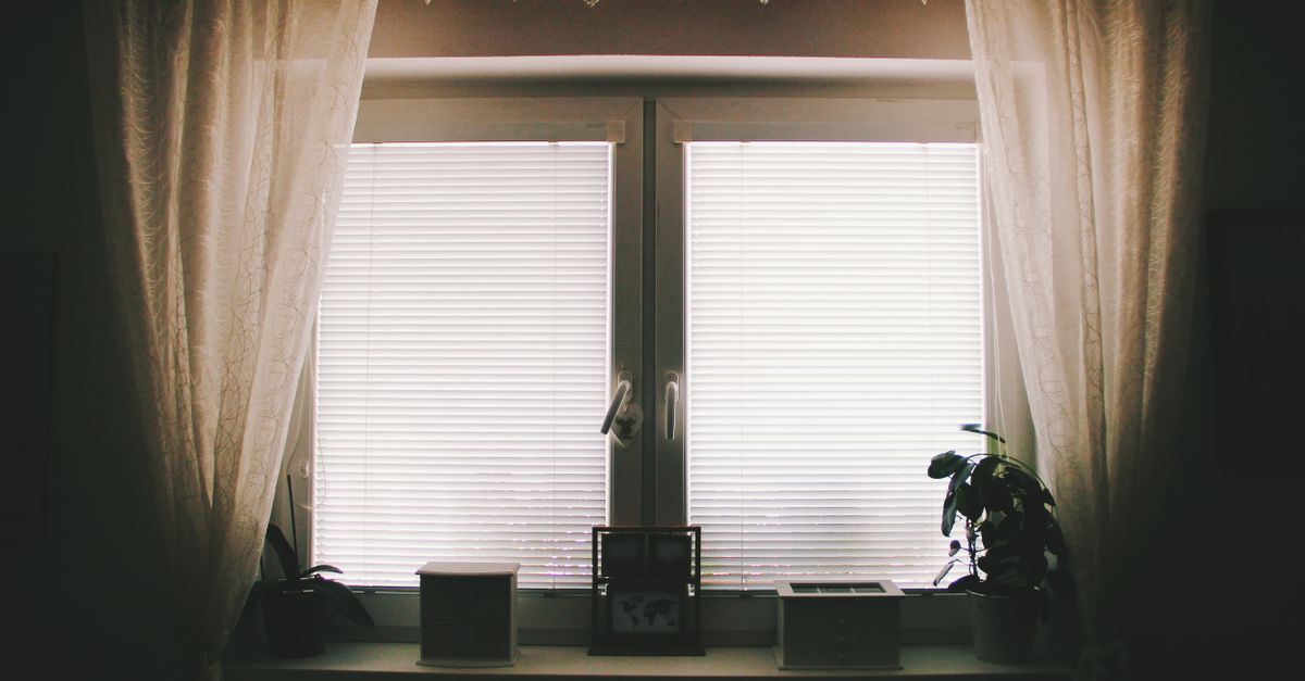 cozy minimalist living room with natural light and plants