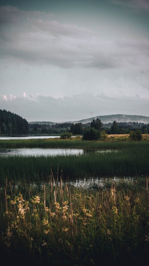 Clouds over Marsh and Lake