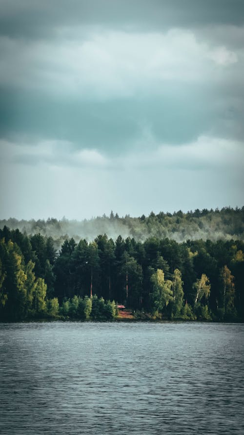 Lush Green Trees with Sprawling Fog from Across the Lake