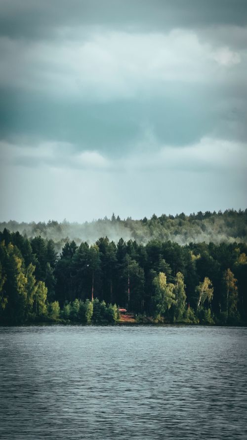 Free A tranquil lake bordered by a dense forest under cloudy skies, creating a peaceful setting. Stock Photo
