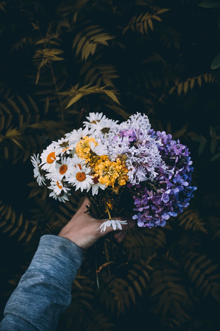 Photo Of A Person's Hand Holding A Bunch Of Flowers