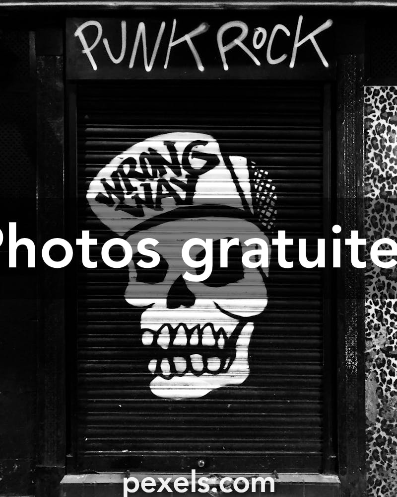 20 000+ Crâne Humain banque d'images et photos libres de droit ·  Téléchargement gratuit · Photos Pexels